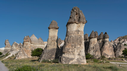 Pasabag Valley's unique fairy chimneys, or hoodoos in Cappadocia, Turkey. Volcanic rock formations create a distinctive landscape under a clear blue sky