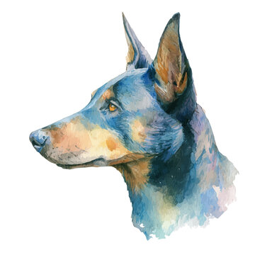 watercolor vector of Kelpie, isolated on a white background.
