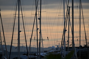 Sunset over marina with masts and red orange sky
