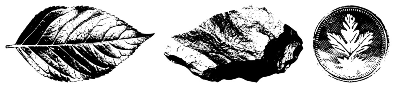 leaf rock coin emblem vector set