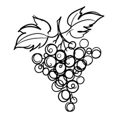 Obraz premium Stylized bunch of grapes with vine leaves black and white vector line art sketch suitable for winery logo or menu
