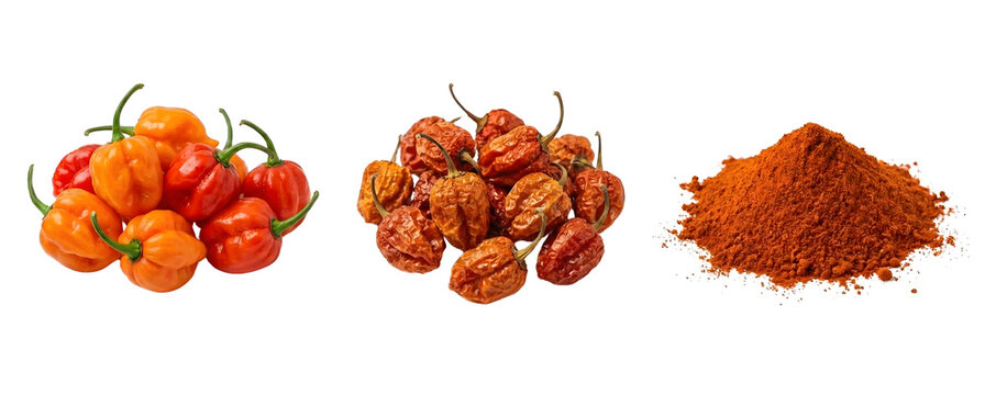 spicy Naga chili peppers PNG set, isolated on transparent background