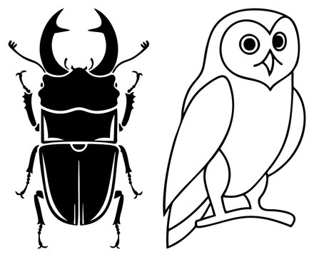 stinkbug and owl vector