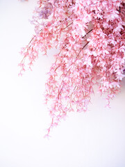 Pink Rose Floral Background with Soft Pastel Flowers