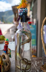 Alcohol bottle with a preserved snake in Peru