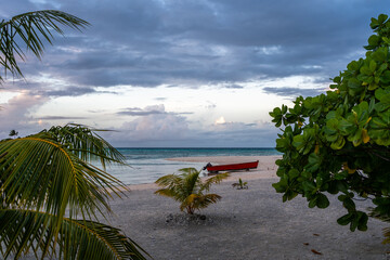 Serene sunset on a tropical beach in Tikehau, French Polynesia