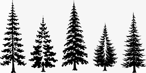 Silhouette of coniferous trees against a white background nature s elegant simplicity