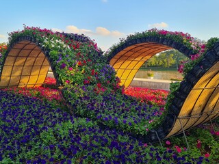 Floral Arches in a Vibrant Garden Landscape