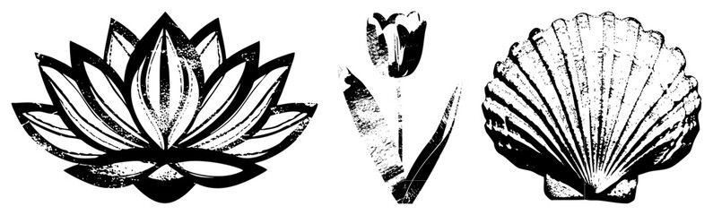 lotus flower tulip vector