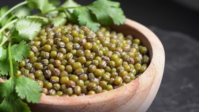 Green mung beans filling a wooden bowl, with sprigs of leafy cilantro, against a dark slate background