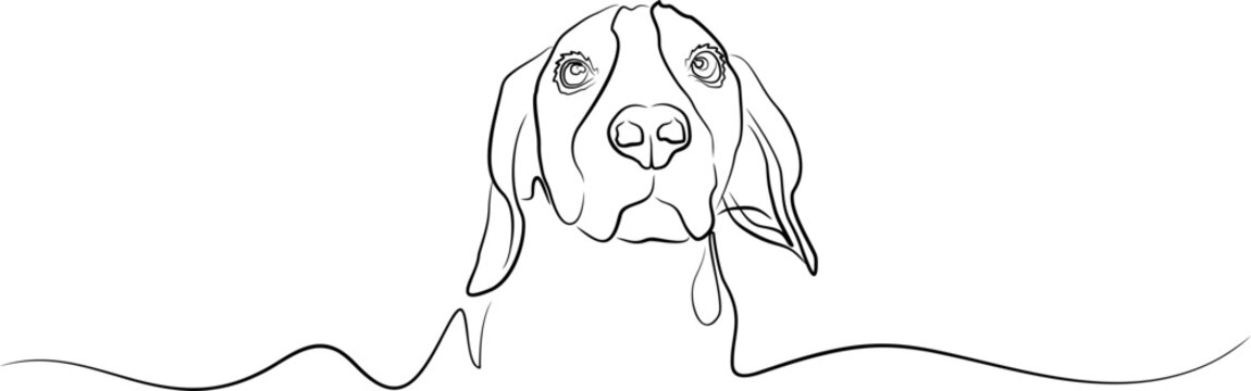 Minimalist continuous line art drawing of a Beagle dog head