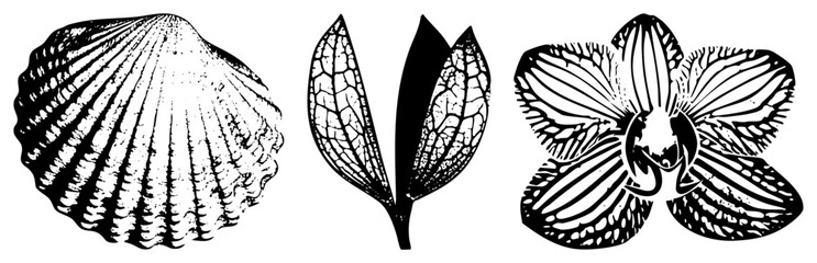 Obraz premium leaf flower vector set black and white