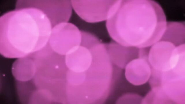 A mesmerizing abstract image featuring a multitude of pink and purple bokeh lights of varying sizes scattered across a predominantly black background, with a white horizontal band at the bottom