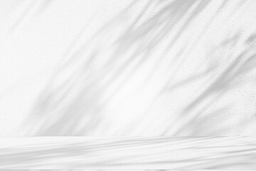 Obraz premium Wall interior background, studio and backdrops show products.with shadow from window color white and grey. background for text insertion and presentation product