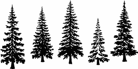 Fototapeta premium Silhouettes of coniferous trees against a plain white background