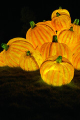 Christmas-themed pumpkin lanterns are placed on the lawn as part of the outdoor decorative lighting