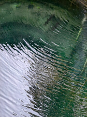 water reflection in the water