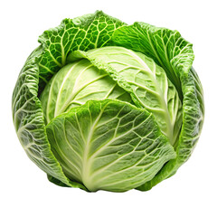 Obraz premium A vibrant fresh green cabbage head isolated with detailed textures on transparent background high quality