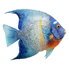 watercolor of Angelfish, vector, isolated on a white background.
