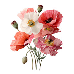 Poppy Bouquet, watercolor painting vector, isolated on a white background.