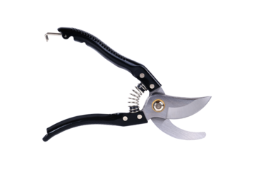 Pruning shears for trimming tree branches and maintaining a garden on an isolated background. Pruning shears on a white background