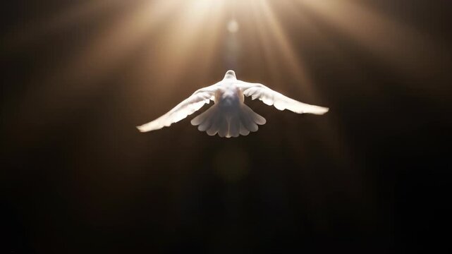 Wide cinematic shot of a solitary white dove accelerating quickly from the deep black lower frame, symbolizing emergence and soaring toward unseen light cinematic, unseen light, transition