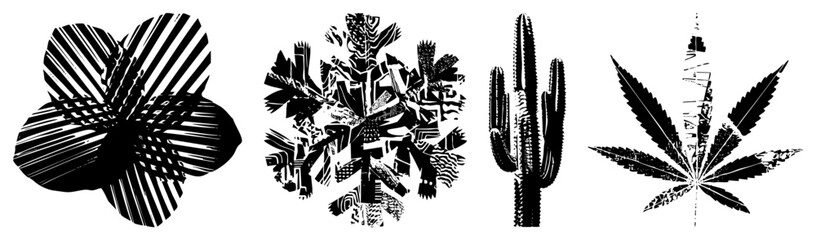 abstract cactus leaf black and white