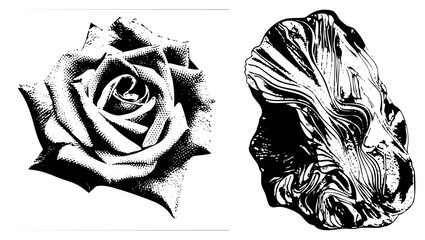 rose and abstract rock halftone illustration