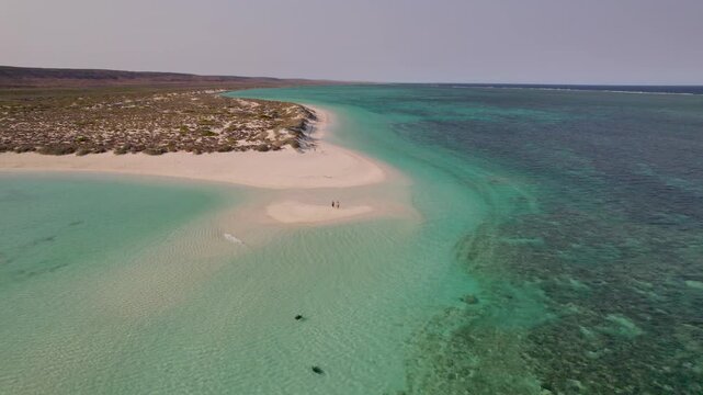 Couple runs across a sand spit into clear water at Turquoise Bay, Cape Range National Park, Australia while two sea turtles swim nearby, showing human presence and marine life on the Ningaloo Coast.