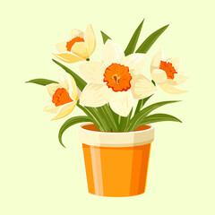 Bright yellow daffodils and white spring flowers growing as healthy potted plants