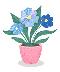 Soft pink flower pot with blue blooming daisies and green leaf plants