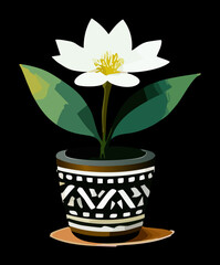 Graphic white flower plants in a patterned black pot on a dark background