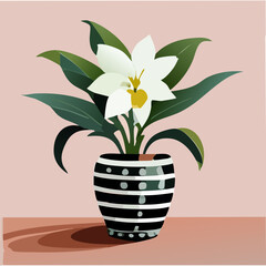 Minimalist black and white striped pot holding elegant white lily flower plants