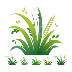 lush green grass patch with tall blades and small seedlings for garden landscaping and nature botanical design © color