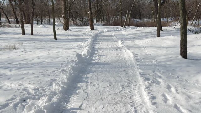 Winter trail in the snow among bare trees on a sunny day