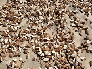Cassava that has been left to dry.
