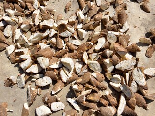 Cassava that has been left to dry.