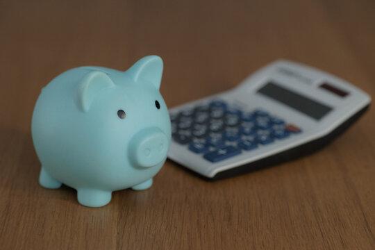 Business finance, savings and investment concept. Piggy bank with a calculator
