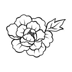 Elegant peony flower outline illustration, Vector hand drawn sketch design elements.