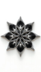 Symmetrical star shaped abstract design with striking black and white striped texture
