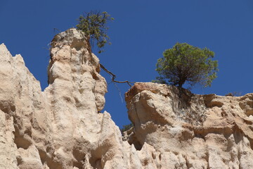 Orgues d'Ile-sur-T&ecirc;t