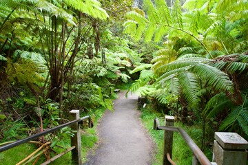 Hiking at Kilauea Volcano on Hawaii Island