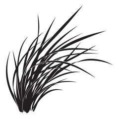 Fototapeta premium Stylized Grass Illustration with Sharp Leaves on Transparent Background