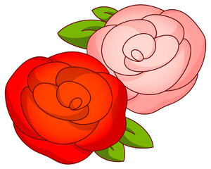 Two roses in red and pink, symbol of love and romance for Valentine.