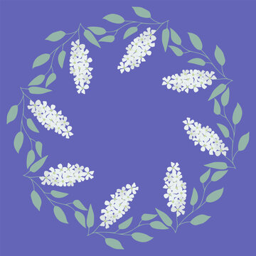 Decorative floral vector simple framework