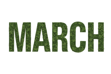 March Text Made of Green Leaves
