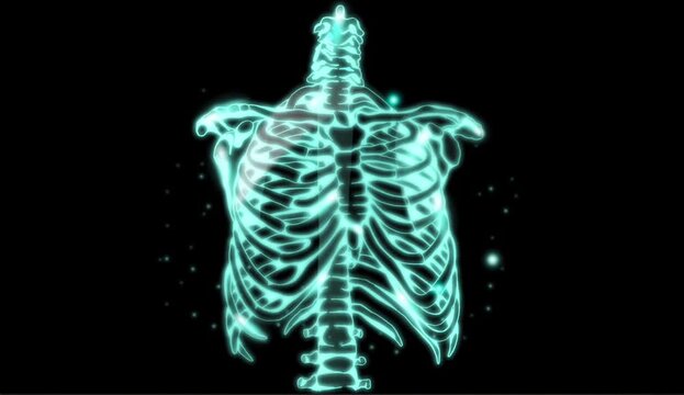 Motion graphics animation of human bones