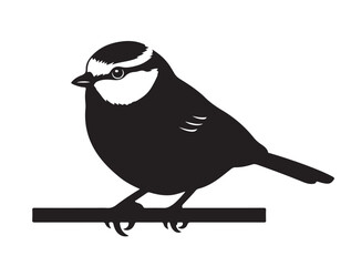 Blue Tit in silhouette white background