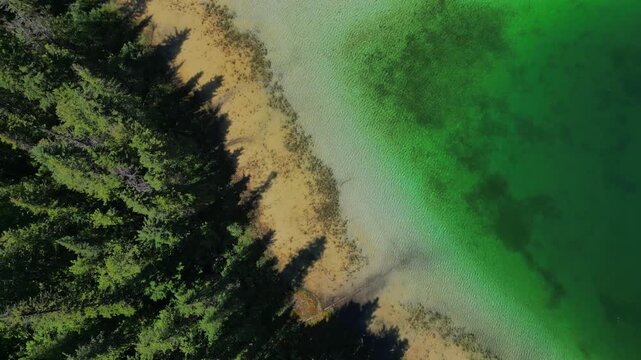 Aerial view of Johnson Lake Resort's shoreline, where vibrant green waters meet a sandy shore, contrasted by the dark shadows of the dense forest, Barriere, Canada.