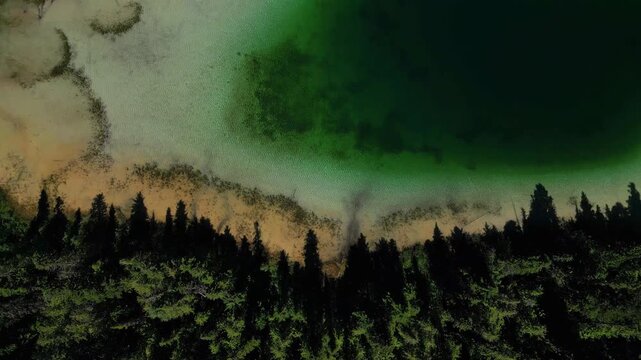 Aerial view of Johnson Lake resort, where the forest meets the lake's edge, creating a stunning contrast of deep green and vibrant turquoise, Barriere, British Columbia, Canada.